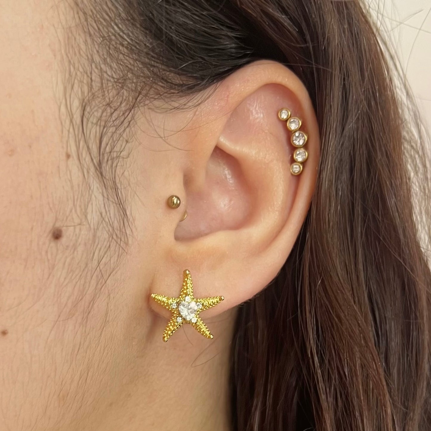 Brinco StarFish