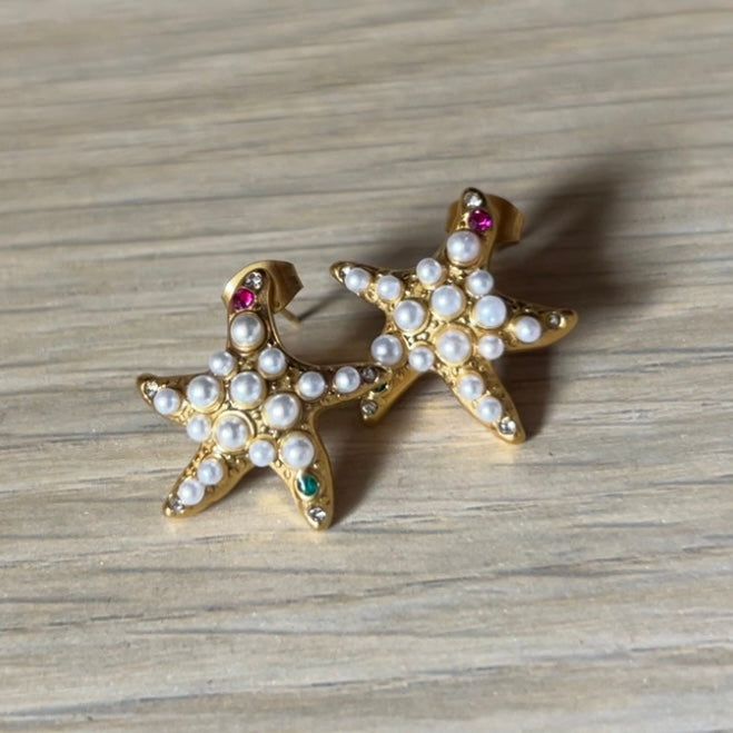 Brinco Starfish